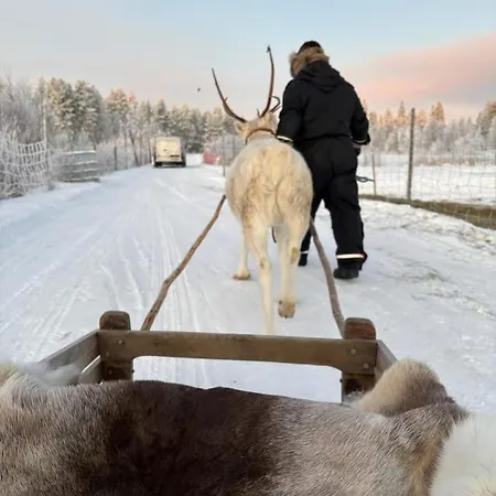 Parkkipaikalla Upealla Alueella Cassa Laurassa Rovaniemellae *
