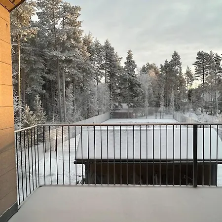 Parkkipaikalla Upealla Alueella Cassa Laurassa Rovaniemellae