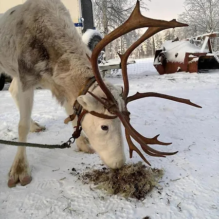 Parkkipaikalla Upealla Alueella Cassa Laurassa Rovaniemellae Rovaniemi